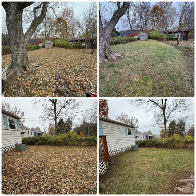 Fall Cleanup