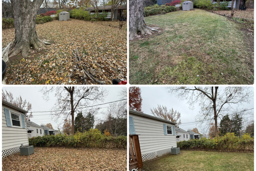 Spring & Fall Cleanup