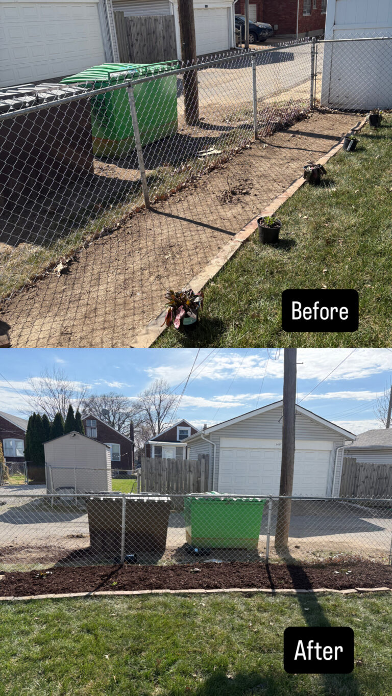New Yard