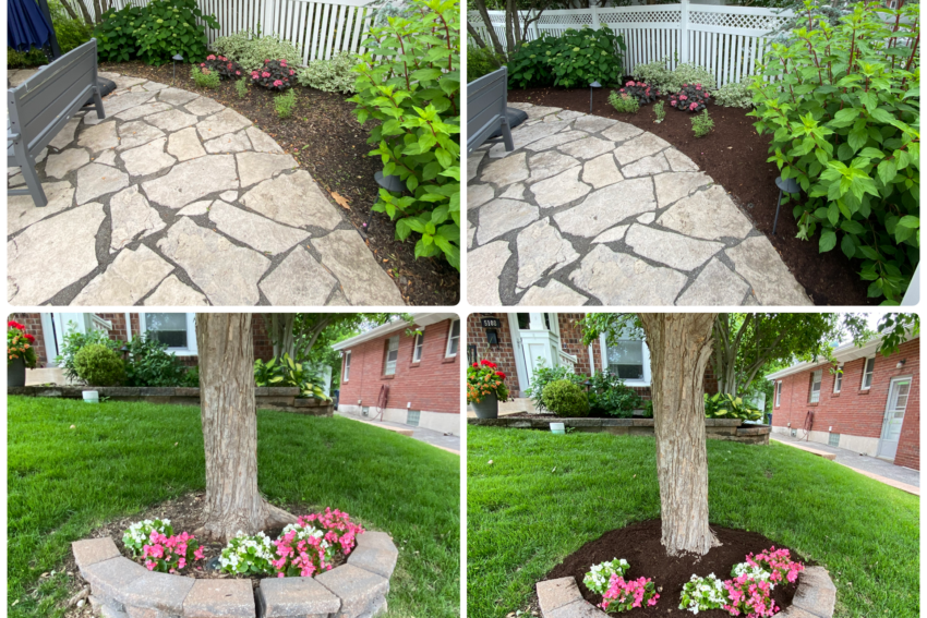 Garden Beds